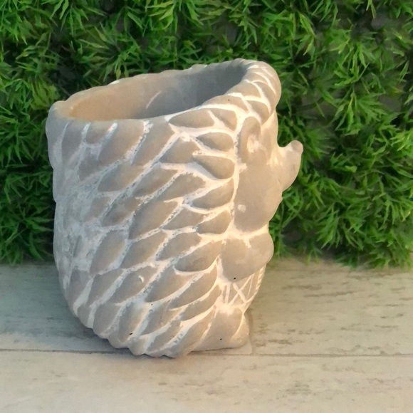 Small Natural Cement Concrete Hedgehog Planter Pot & 2 Pairs of Socks Gift Set - Picture 5 of 11